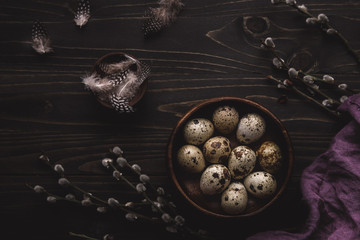 Wall Mural - Organic quail eggs in wooden bowl and pussy willow branches on dark wooden background. 