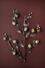 Wall Mural - Easter holiday concept. Pussy willow branch with quail eggs and feathers i on brown background. 