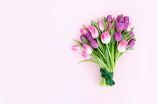 Pink Fresh Tulips