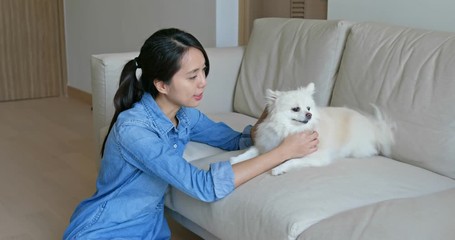 Poster - Woman cuddle her Pomeranian dog at home