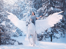 Fantasy Woman Sitting  Ride On Horse. Lady On Horseback With Light Wings, White Pegasus Walks In Snowy Winter Forest. Fairy Girl Princess In Blue Gray Dress, Love Friendship Between Man And Animal