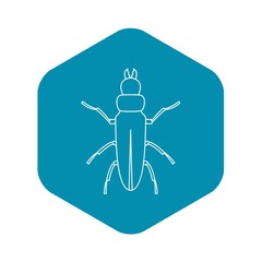 Canvas Print - Beetle icon. Outline illustration of beetle vector icon for web