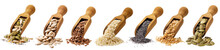Scoop With Seeds Of Pumpkin, The Flax, Sesame Of Sunflower And Poppy Isolated On A White Background. Set Of Ingredients