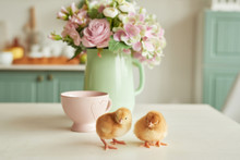Easter Eggs And Chickens With Flowers. Easter Greeting Card Template. Happy Easter Concept. Copy Spase. Calendar Template