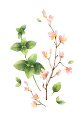 Wall Mural - Watercolor vector hand painting illustration with pink flowers and green mint leaves.