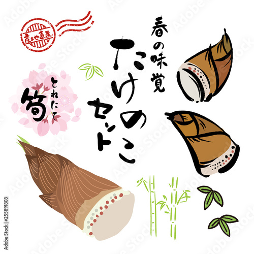 春 たけのこ イラスト セット Buy This Stock Vector And Explore Similar Vectors At Adobe Stock Adobe Stock 春 たけのこ イラスト セット Buy This Stock Vector And Explore Similar Vectors At Adobe Stock Adobe Stock