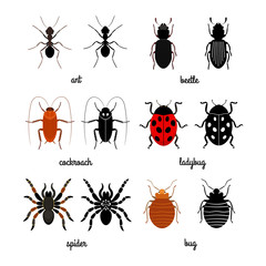 Wall Mural - Crawling insects vector set - ant, spider, beetle, ladybug. Illustration of insect ladybug, cockroach and crawling insect