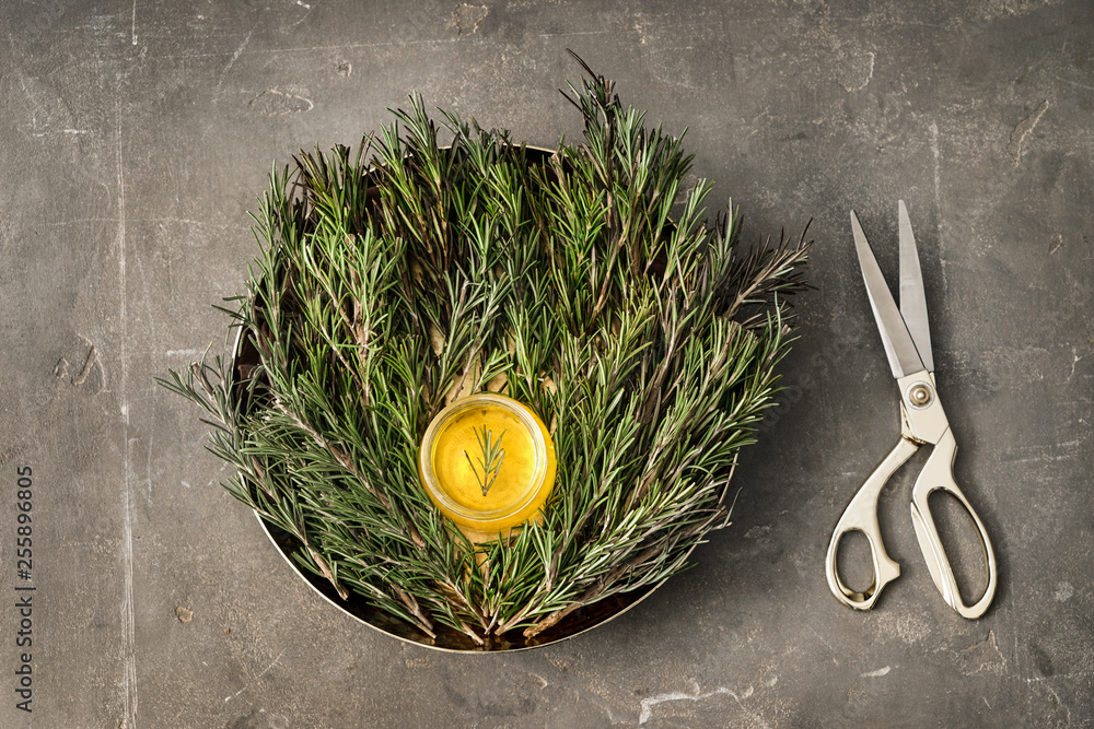 Tray with fresh rosemary, oil and scissors on grey table