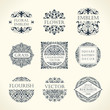 © Extezy - Calligraphic Luxury line logo. Flourishes elegant emblem monogram. Royal vintage divider design
