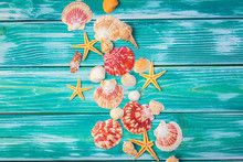 Different Sea Shells On Color Wooden Background