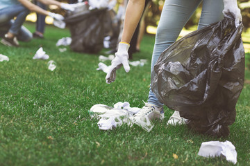 Wall Mural - Young volunteers collecting garbage in suumer park