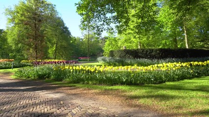 Sticker - Spring Tulips Flowerbeds