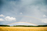 Fototapeta Tęcza - Fantasy landscape background. Rainbow landscape on colorful background.