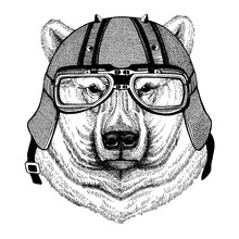 Polar White Bear Wearing A Motorcycle, Aero Helmet. Hand Drawn Image For Tattoo, T-shirt, Emblem, Badge, Logo, Patch.