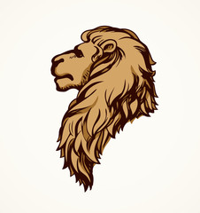 Poster - Lion. Vector drawing