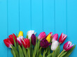 © Alekss - tulips on blue wood