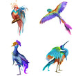 Fantasy and Realistic Bird. Animal Character Design. Concept Art. Realistic Illustration. Video Game Digital CG Artwork.