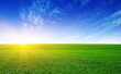 canvas print picture - Green meadow and sun.
