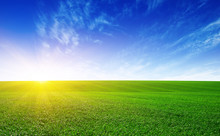 Green Meadow And Sun.