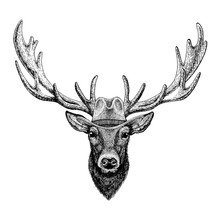 Deer Wearing Cowboy Hat. Wild West Animal. Hand Drawn Image For Tattoo, Emblem, Badge, Logo, Patch, T-shirt