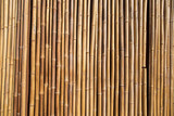 Fototapeta Sypialnia - bamboo fence background