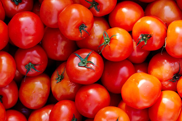 Canvas Print - fresh tomatoes