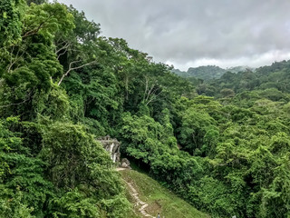 Wall Mural - The natural wander of Chiapas Mexico