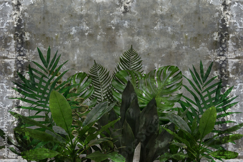 Naklejka - mata magnetyczna na lodówkę 3d wallpaper, green leaves of houseplants on concrete wall textured background. The original panel will turn your room in with the most recent world trends in interior fashion.