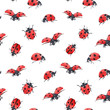 © Zenina-Lembrik - Watercolor ladybug seamless vector pattern