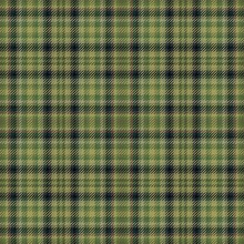 Tartan Scottish Fabric Or Plaid Pattern.  Textile Celtic.