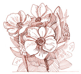 Hand drawn line illustration of flowers bunch. Beautiful flowers in style of engraving. Illustration for poster or postcard.