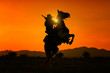 © Success Media - Silhouette Cowboy holding short gun and riding a horse