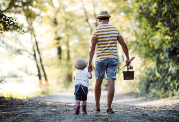 Wall Mural - A rear view of father with a small toddler son going fishing.