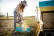 © Natalie Faye - Woman beekeeper pours smoke on hive box while bees fly around