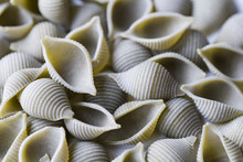 Close Up Green  Shell Pasta Called "conchiglie"