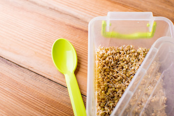 Wall Mural - Fresh buckwheat sprouts on wooden background, selective focus, retro toned.