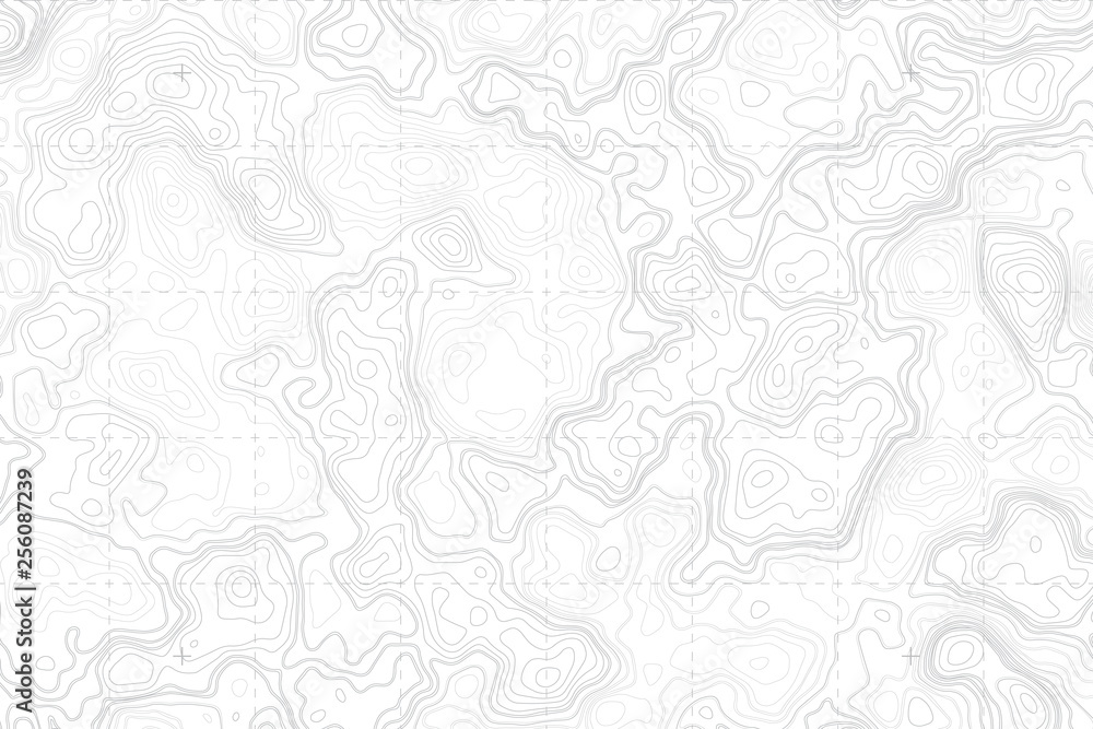 Abstract Blank Detailed Topographic Contour Map Subtle White Vector Background. Topographic Cartography. Topographic Map. Topographic Relief. Topography Map. Topography Relief  - obrazy, fototapety, plakaty 
