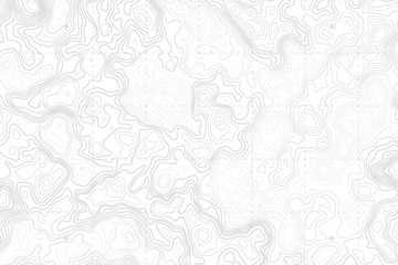 abstract blank detailed topographic contour map subtle white vector background. topographic cartogra