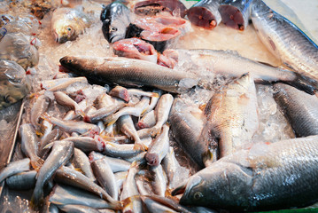 Wall Mural - Fresh fish in ice bucket for sale in the seafood market