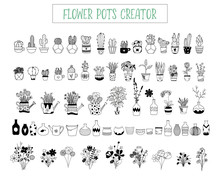Flowers And Pots