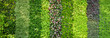 Leinwandbild Motiv Eco green plant background