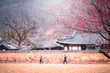 view of korean landscape at traditional house in spring.