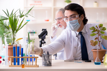 two chemists working in the lab