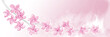 kirschblütenzweig vor rosa Hintergrund