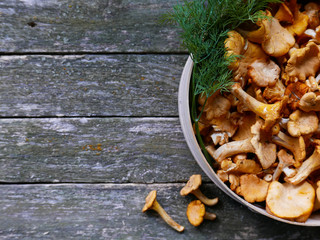 Yellow chanterelle mushrooms on wooden background. Raw mushrooms chanterelles. Vegetarian food. Gourmet food