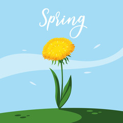 Poster - beautiful spring flower in grass nature scene