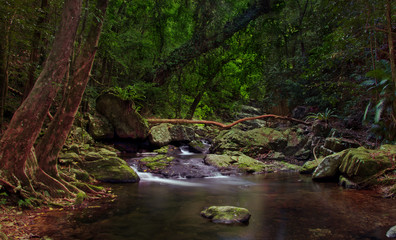 Wall Mural - Сalm tropical creek flows among mossy rocks in rainforest. Image. Stoney Creek Environmental Reserve, Kamerunga, Cairns. Far North Queensland. Australia