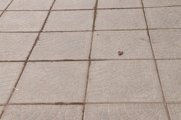 Sticker - Paving slab. Paving