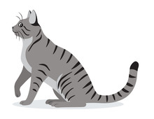 Smooth Coated Tabby Cat With Long Tail Icon, Cute Gray Pet, Domestic Animal, Vector Illustration