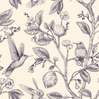 Vector sketch pattern with birds and flowers. Hummingbirds and flowers, retro style, nature backdrop. Vintage monochrome flower design for wrapping paper, cover, textile, fabric, wallpaper